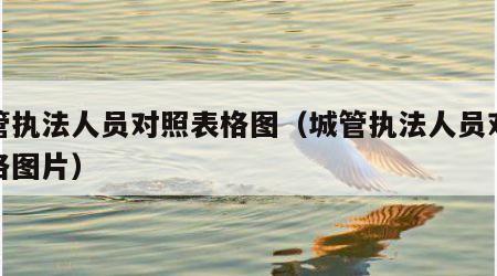 城管执法人员对照表格图（城管执法人员对照表格图片）