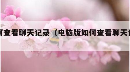 如何查看聊天记录（电脑版如何查看聊天记录）