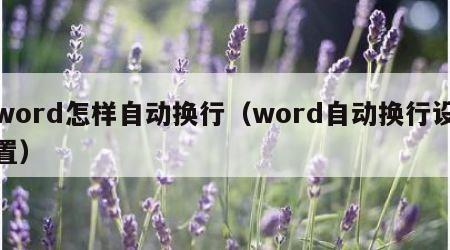 word怎样自动换行（word自动换行设置）