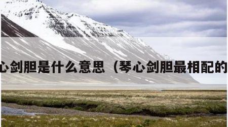 琴心剑胆是什么意思（琴心剑胆最相配的词）