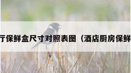 餐厅保鲜盒尺寸对照表图（酒店厨房保鲜盒）