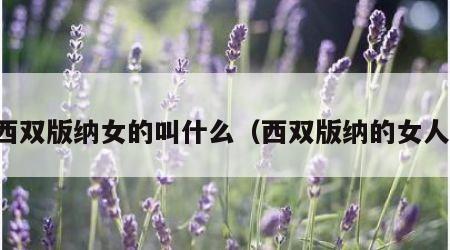 西双版纳女的叫什么（西双版纳的女人）