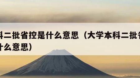 本科二批省控是什么意思（大学本科二批省控是什么意思）