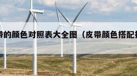 皮带的颜色对照表大全图（皮带颜色搭配技巧）