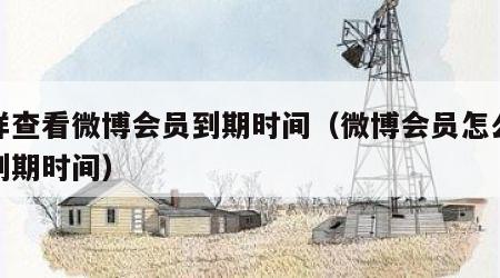 怎样查看微博会员到期时间（微博会员怎么查看到期时间）