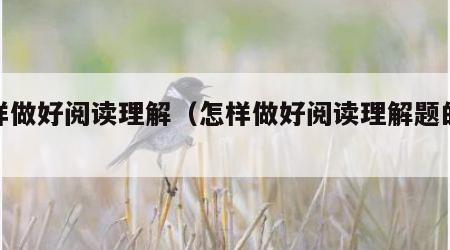 怎样做好阅读理解（怎样做好阅读理解题的技巧）