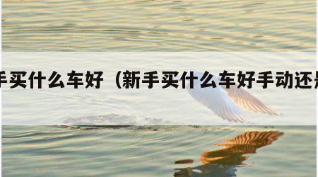 新手买什么车好（新手买什么车好手动还是自动）