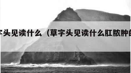 草字头见读什么（草字头见读什么肛脓肿的症状）