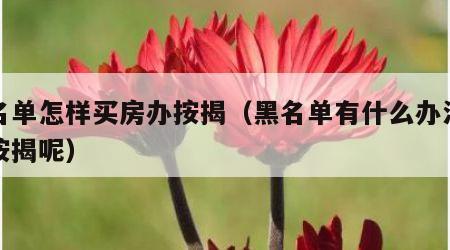 黑名单怎样买房办按揭（黑名单有什么办法买房按揭呢）
