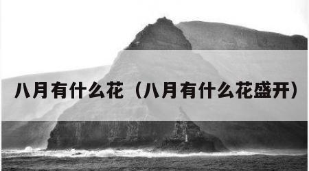八月有什么花（八月有什么花盛开）