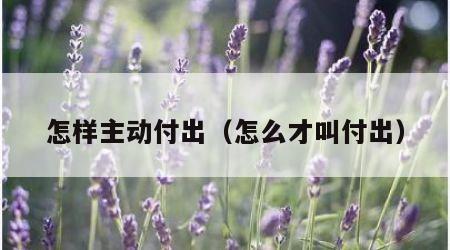 怎样主动付出（怎么才叫付出）