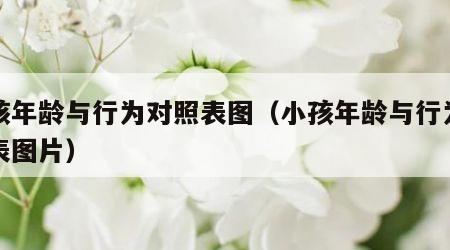 小孩年龄与行为对照表图（小孩年龄与行为对照表图片）