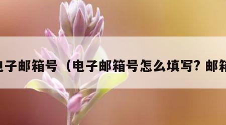 电子邮箱号（电子邮箱号怎么填写? 邮箱）