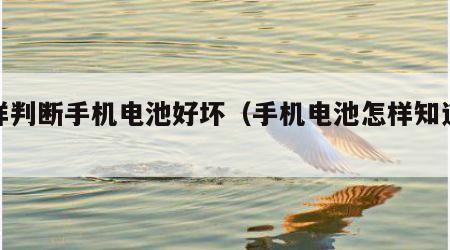 怎样判断手机电池好坏（手机电池怎样知道好坏）