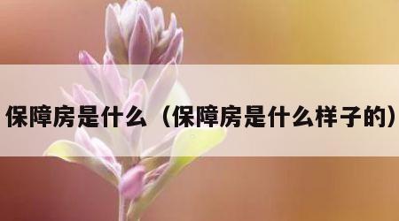 保障房是什么（保障房是什么样子的）