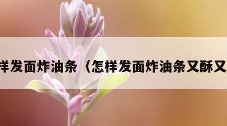 怎样发面炸油条（怎样发面炸油条又酥又脆）
