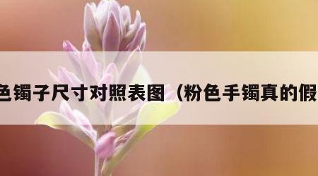 粉色镯子尺寸对照表图（粉色手镯真的假的）
