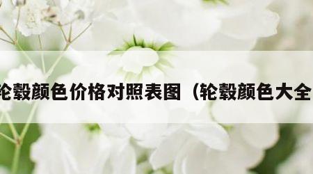 轮毂颜色价格对照表图（轮毂颜色大全）