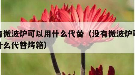 没有微波炉可以用什么代替（没有微波炉可以用什么代替烤箱）