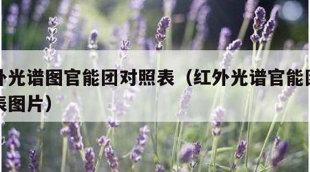 红外光谱图官能团对照表（红外光谱官能团对照表图片）