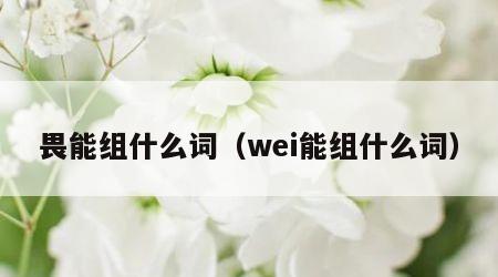 畏能组什么词（wei能组什么词）