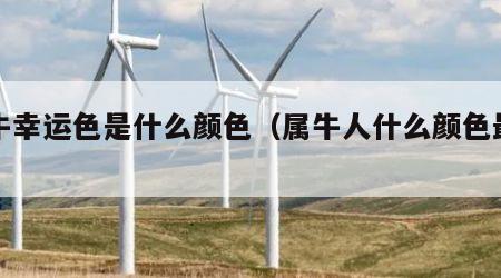 属牛幸运色是什么颜色（属牛人什么颜色最旺）