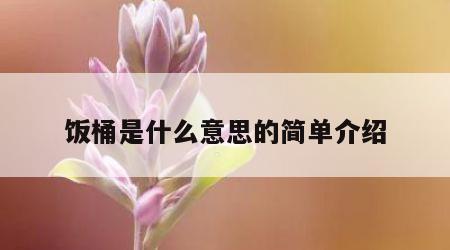 饭桶是什么意思的简单介绍