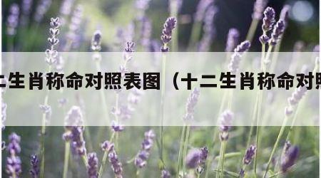 十二生肖称命对照表图（十二生肖称命对照表图）