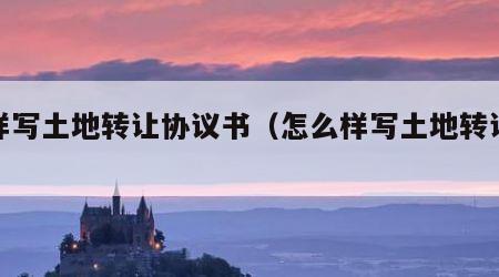 怎样写土地转让协议书（怎么样写土地转让协议）