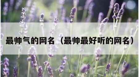 最帅气的网名（最帅最好听的网名）