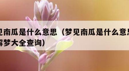 梦见南瓜是什么意思（梦见南瓜是什么意思周公解梦大全查询）