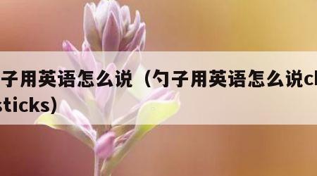 勺子用英语怎么说（勺子用英语怎么说chopsticks）