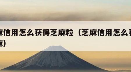 芝麻信用怎么获得芝麻粒（芝麻信用怎么获取芝麻）
