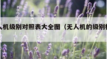 无人机级别对照表大全图（无人机的级别标准）