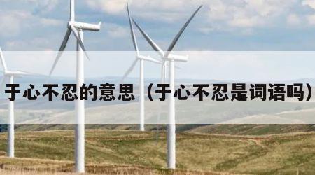 于心不忍的意思（于心不忍是词语吗）