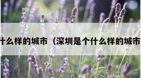 什么样的城市（深圳是个什么样的城市）