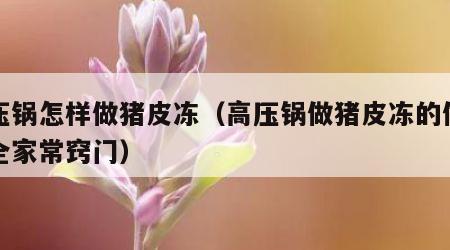 高压锅怎样做猪皮冻（高压锅做猪皮冻的做法大全家常窍门）