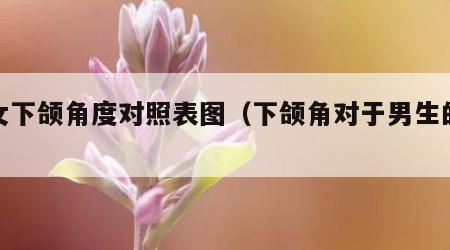 男女下颌角度对照表图（下颌角对于男生的颜值）
