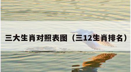 三大生肖对照表图（三12生肖排名）