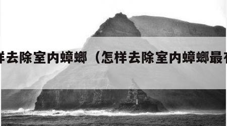 怎样去除室内蟑螂（怎样去除室内蟑螂最有效）