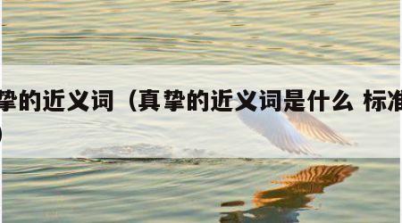 真挚的近义词（真挚的近义词是什么 标准答案）