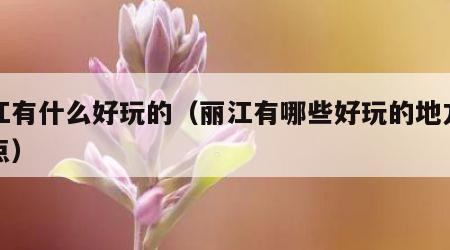 丽江有什么好玩的（丽江有哪些好玩的地方和景点）
