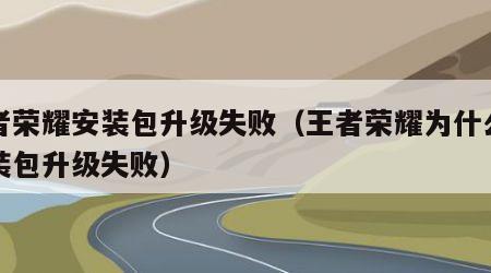 王者荣耀安装包升级失败（王者荣耀为什么说安装包升级失败）