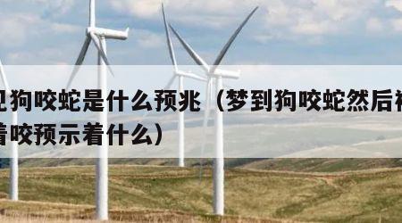 梦见狗咬蛇是什么预兆（梦到狗咬蛇然后被蛇追着咬预示着什么）