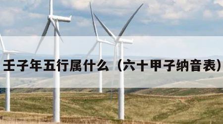 壬子年五行属什么（六十甲子纳音表）