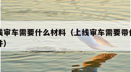 上线审车需要什么材料（上线审车需要带什么证件）