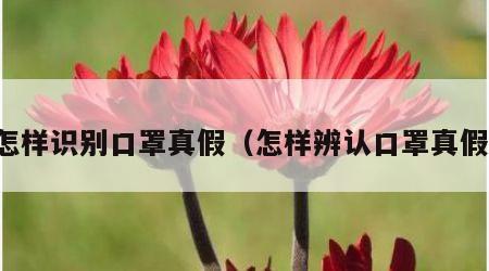 怎样识别口罩真假（怎样辨认口罩真假）