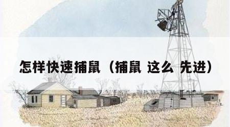 怎样快速捕鼠（捕鼠 这么 先进）