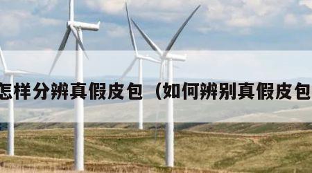 怎样分辨真假皮包（如何辨别真假皮包）
