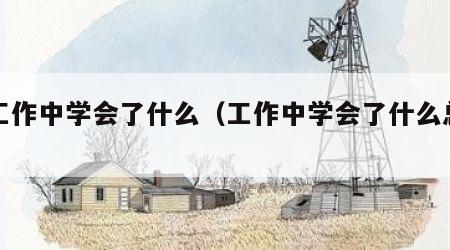 在工作中学会了什么（工作中学会了什么总结）